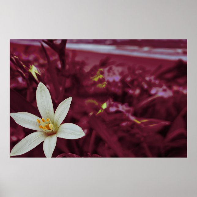 Poster Arte paisagística de flores oceânicas (Frente)