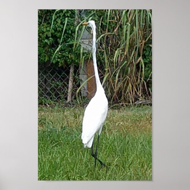 Poster Arte para as paredes (Frente)