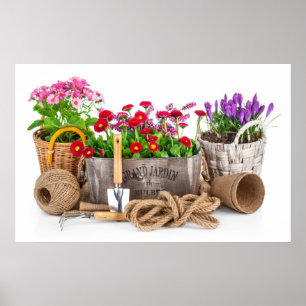 Póster Arte para fotografia de jardinagem - SRF
