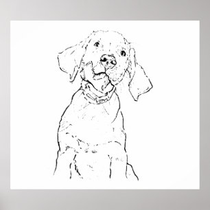 Poster Arte para Parede de Cachorro Labrador Retriever, D
