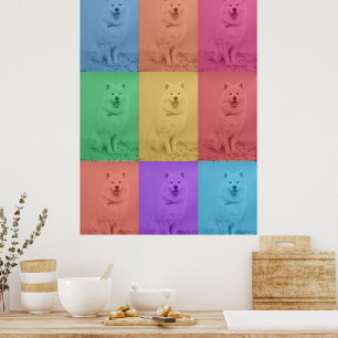 Poster Arte Pop Colorida Retro Personalizada Foto do Cach