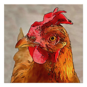 Póster Arte Preta Retrato Retrato de Galinha