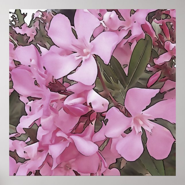 Poster Arte Preta Rosa Laurel Oleander Rosa (Frente)