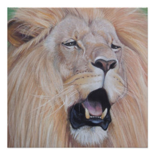 Póster arte realista do grande gato rugindo