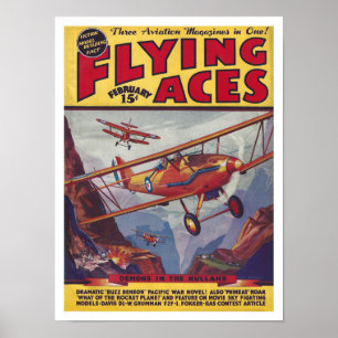 Poster ARTE reciclado: ÁCIOS VOADORES COBRIR ILUSTRADO