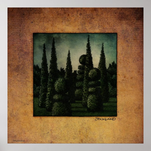 Póster Arte Secreta do Jardim de Moonrise (Frente)