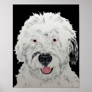 Poster Arte Sheepadoodle