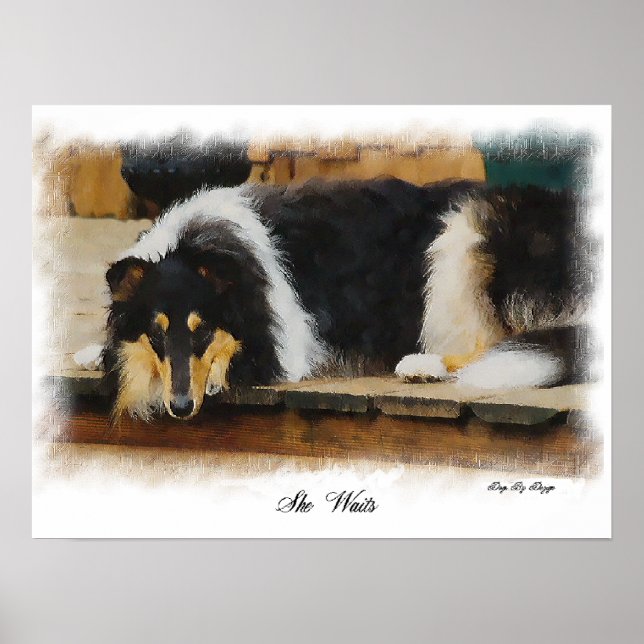 Poster Arte Tricolor Rough Collie Oferece Ofertas (Frente)