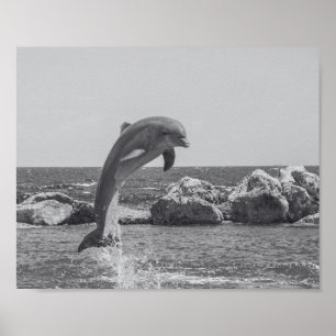 Poster Arte tropical de golfinho preto e branco