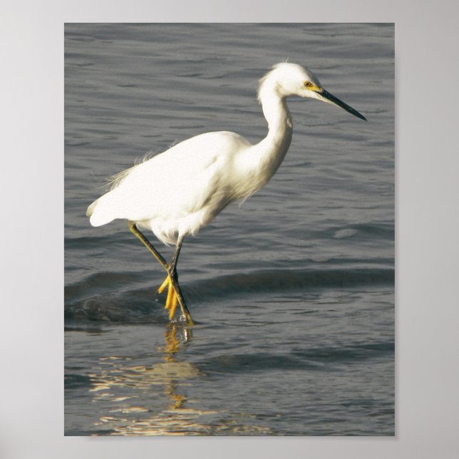 Poster Arte Tropical de Herão Branco e Preto (Frente)