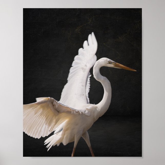 Poster Arte Tropical de Herão Branco e Preto (Frente)