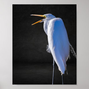Poster Arte Tropical de Herão Branco e Preto