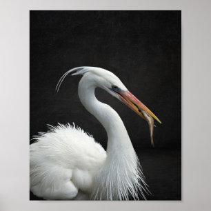 Poster Arte Tropical de Herão Branco e Preto