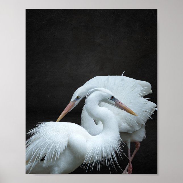 Poster Arte Tropical de Herão Branco e Preto (Frente)
