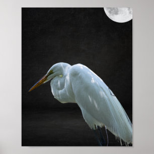 Poster Arte Tropical de Herão Branco e Preto