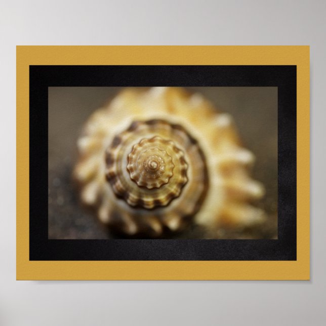 Poster Arte Tropical de Seashell Preta e Dourada (Frente)