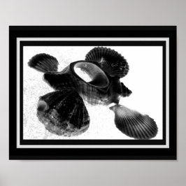 Poster Arte Tropical Imprimível de Seashell Preto e Branc