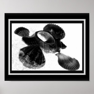 Poster Arte Tropical Imprimível de Seashell Preto e Branc