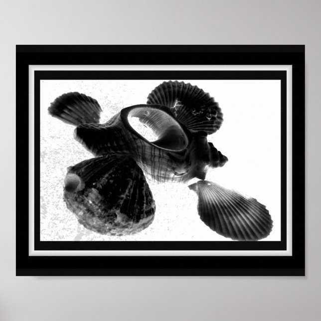 Poster Arte Tropical Imprimível de Seashell Preto e Branc (Frente)