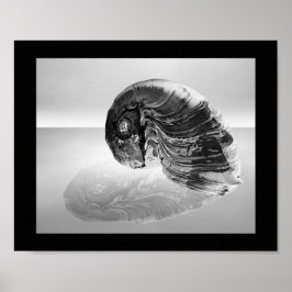 Poster Arte Tropical Imprimível de Seashell Preto e Branc