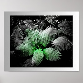 Poster Arte Tropical Verde Preta