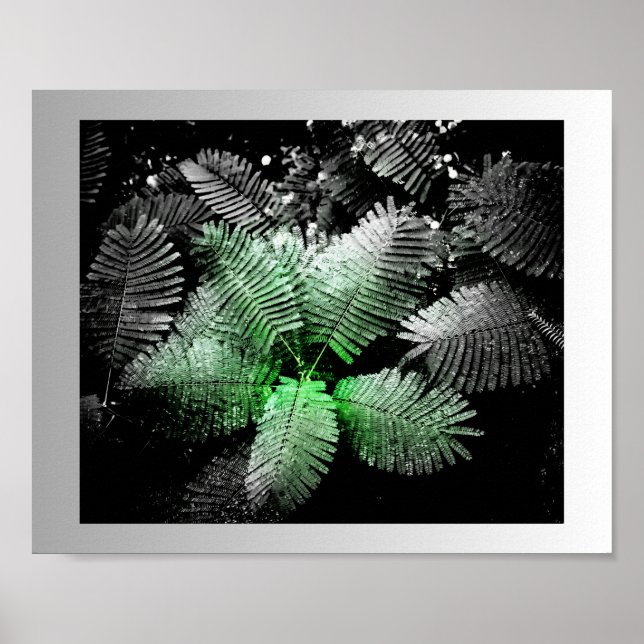 Poster Arte Tropical Verde Preta (Frente)