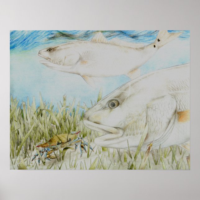 Póster Arte vencedora por B. King Grau 8 (Frente)