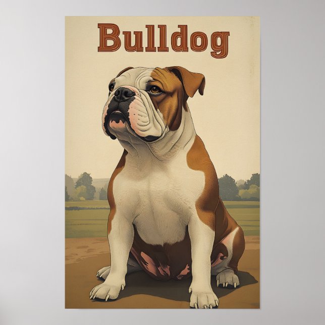 Poster Arte Vintage Bulldog (Frente)