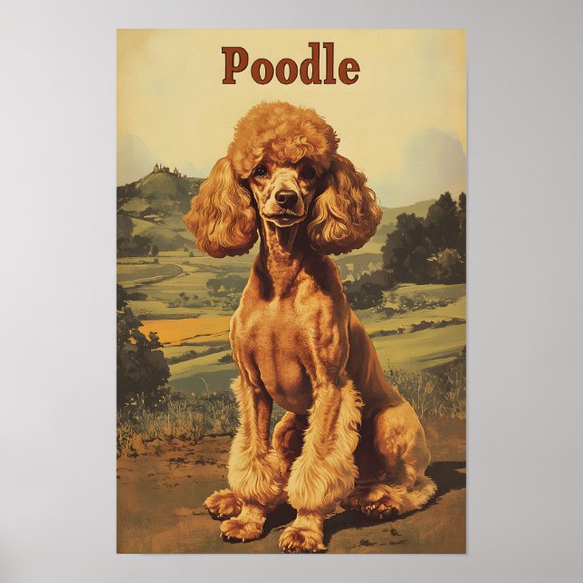 Poster Arte Vintage de Cachorro Poodle (Frente)