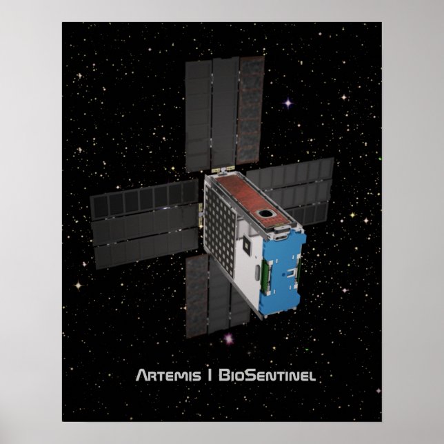 Poster Artemis BioSentinel CubeSat (Frente)