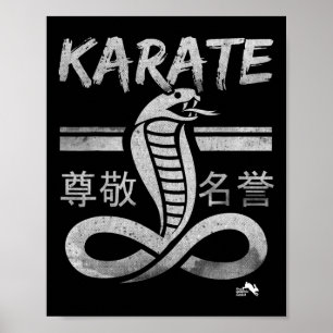 Poster Artes Marciais Caratê Cobra