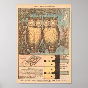 Poster artesanato de queda de coruja