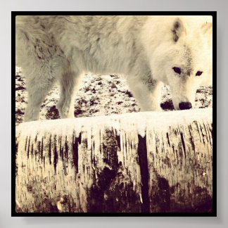 Póster Arthur the Wolf