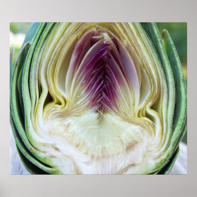 Póster Artichoke Heart Canvas Print (Frente)