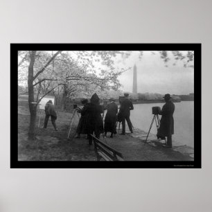 Poster Artistas e árvores de cereja em Washington, C.C.