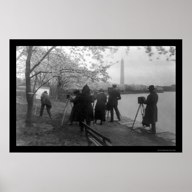 Poster Artistas e Árvores de Cereja em Washington DC 1920 (Frente)