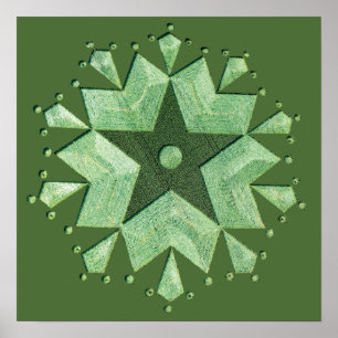 Póster Artistic Crop Circle