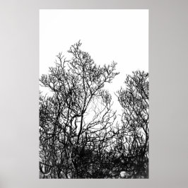 Poster Artsy Black and White Tree Modern
