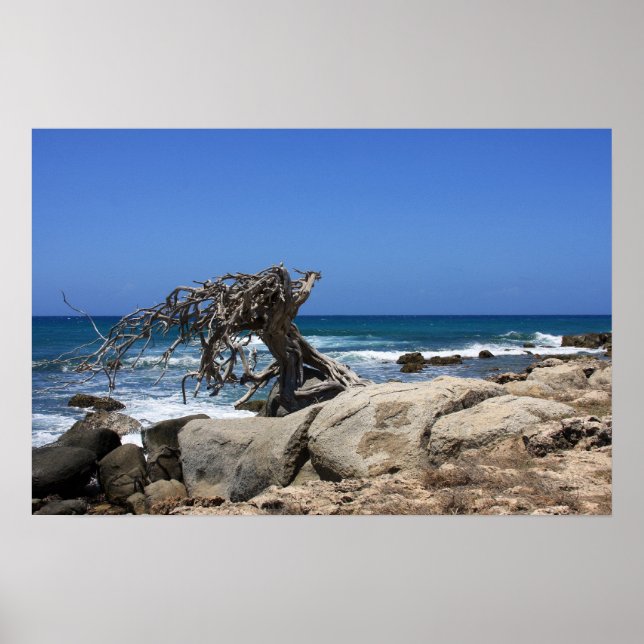 poster aruba (Frente)