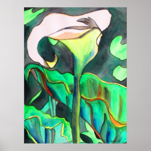 Póster Arum Lily aqucolor pintura de arte