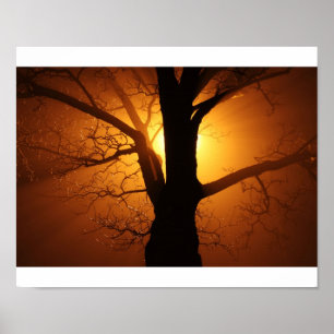 Póster Árvore