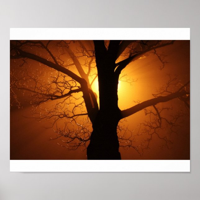 Póster Árvore (Frente)