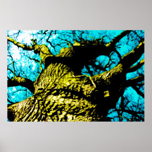 Poster Árvore