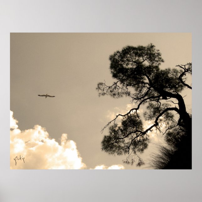 Póster árvore (Frente)