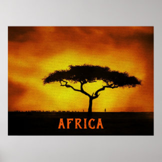 Poster Árvore Acacia de Paisagem Africana