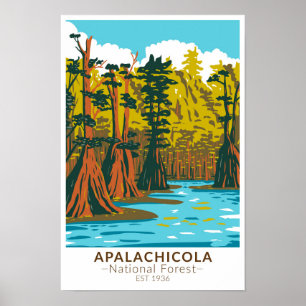 Poster Árvore Baldcypress da Floresta Nacional de Apalach