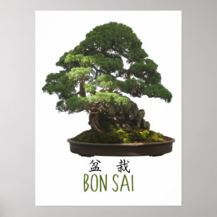 Poster Árvore Bonsai japonesa e símbolo