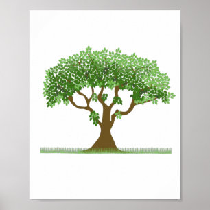 Poster Árvore branca com folhas