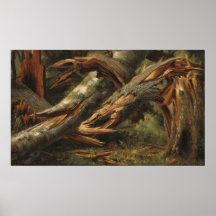 Árvore Caída - Alexandre Calame Cartaz de Arte Fin
