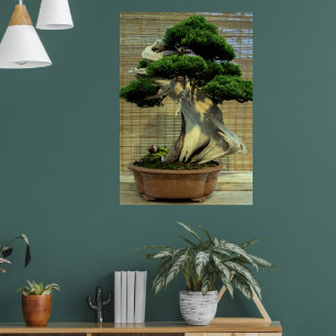 Poster Árvore Chinesa de Bonsai